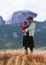 Vietnamese Hmong minority family taking a rest on purple flower