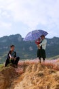 Vietnamese Hmong minority family taking a rest on purple flower