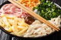 Vietnamese hot noodle soup with chicken, ham, shrimps, egg and herbs close-up in a bowl. horizontal Royalty Free Stock Photo