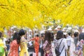 Vietnamese lunar new year. Women wear Vietnam tradition ao dai to take pictures on street with yellow flower apricot in Tet Royalty Free Stock Photo