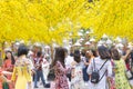 Vietnamese lunar new year. Women wear Vietnam tradition ao dai to take pictures on street with yellow flower apricot in Tet Royalty Free Stock Photo