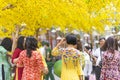 Vietnamese lunar new year. Women wear Vietnam tradition ao dai to take pictures on street with yellow flower apricot in Tet Royalty Free Stock Photo