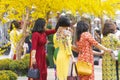 Vietnamese lunar new year. Women wear Vietnam tradition ao dai to take pictures on street with yellow flower apricot in Tet Royalty Free Stock Photo