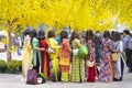 Vietnamese lunar new year. Women wear Vietnam tradition ao dai to take pictures on street with yellow flower apricot in Tet Royalty Free Stock Photo