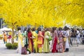 Vietnamese lunar new year. Women wear Vietnam tradition ao dai to take pictures on street with yellow flower apricot in Tet Royalty Free Stock Photo