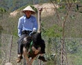 Vietnamese man in traditional straw hat is riding an ostrich