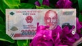 Vietnamese money currency 200 000 and 10 000 dong banknote flower symbol of income grows prosperous Royalty Free Stock Photo