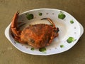 Vietnamese mud crab Scylla serrata BBQ crab or grilled crab Royalty Free Stock Photo