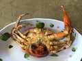 Vietnamese mud crab Scylla serrata BBQ crab or grilled crab Royalty Free Stock Photo