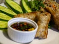 Vietnamese nems or fried spring rolls on a plate, with vegetables and sauce Royalty Free Stock Photo