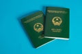 Vietnamese passport Royalty Free Stock Photo