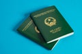 Vietnamese passport Royalty Free Stock Photo