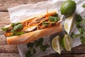 Vietnamese Pork Banh Mi Sandwich with Cilantro and carrot close-up. horizontal top view