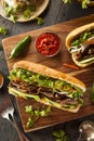 Vietnamese Pork Banh Mi Sandwich Royalty Free Stock Photo