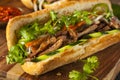 Vietnamese Pork Banh Mi Sandwich Royalty Free Stock Photo