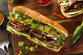 Vietnamese Pork Banh Mi Sandwich Royalty Free Stock Photo