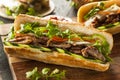 Vietnamese Pork Banh Mi Sandwich Royalty Free Stock Photo