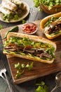 Vietnamese Pork Banh Mi Sandwich Royalty Free Stock Photo