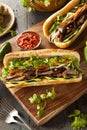 Vietnamese Pork Banh Mi Sandwich Royalty Free Stock Photo