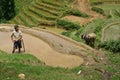 Vietnamese rice paddy fields