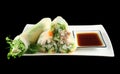 Vietnamese Rice Paper Rolls