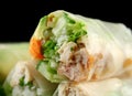 Vietnamese Rice Paper Rolls 5