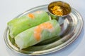 Vietnamese Rice Paper Spring Rolls