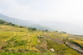 Vietnamese rice terraced paddy field in harvesting season. Terraced paddy fields are used widely in rice, wheat and barley farming Royalty Free Stock Photo