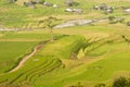 Vietnamese rice terraced paddy field in harvesting season. Terraced paddy fields are used widely in rice, wheat and barley farming Royalty Free Stock Photo