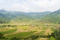 Vietnamese rice terraced paddy field in harvesting season. Terraced paddy fields are used widely in rice, wheat and barley farming Royalty Free Stock Photo