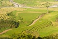Vietnamese rice terraced paddy field in harvesting season. Terraced paddy fields are used widely in rice, wheat and barley farming Royalty Free Stock Photo