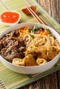 Vietnamese salad of beef and soy sauce, with crispy spring rolls and rice noodles, fresh herbs, vegetables closeup. Vertical Royalty Free Stock Photo