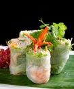 Vietnamese salad rolls with shrimps Royalty Free Stock Photo