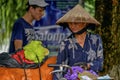 Vietnamese sales woman in Hanoi Royalty Free Stock Photo