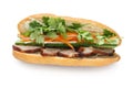 Vietnamese Sandwich Royalty Free Stock Photo