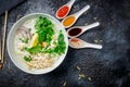 Vietnamese soup Pho GA