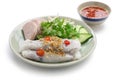 Vietnamese steamed rice noodle roll Royalty Free Stock Photo