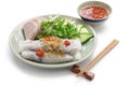 Vietnamese steamed rice noodle roll Royalty Free Stock Photo