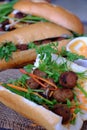 Vietnamese street food, banh mi thit nuong Royalty Free Stock Photo