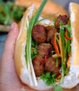 Vietnamese street food, banh mi thit nuong Royalty Free Stock Photo