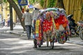 Vietnamese street vendor in Hanoi