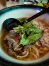 Vietnamese style noodle served with large spoon