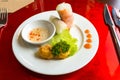 Vietnamese style rice paper springrolls with deep fried fishballs Royalty Free Stock Photo