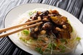 Vietnamese style rice vermicelli with vegetables and caramelized eggplants close-up on a plate. horizontal Royalty Free Stock Photo