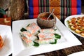 Vietnamese Style Spring Roll. Royalty Free Stock Photo