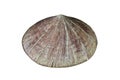 Vietnamese traditional hat or Asian conical hat isolated on white background. Image with clipping path Royalty Free Stock Photo