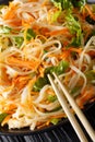 Vietnamese traditional salad of chicken, rice noodles, carrots a Royalty Free Stock Photo