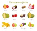 Vietnamese Tropical Fruits Set Vector Illustration