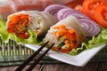 Vietnamese vegetarian vegetable spring rolls macro. Horizontal