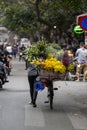 Vietnamese woman with bike selling flowers on the street market of old town in Hanoi, Vietnam Royalty Free Stock Photo